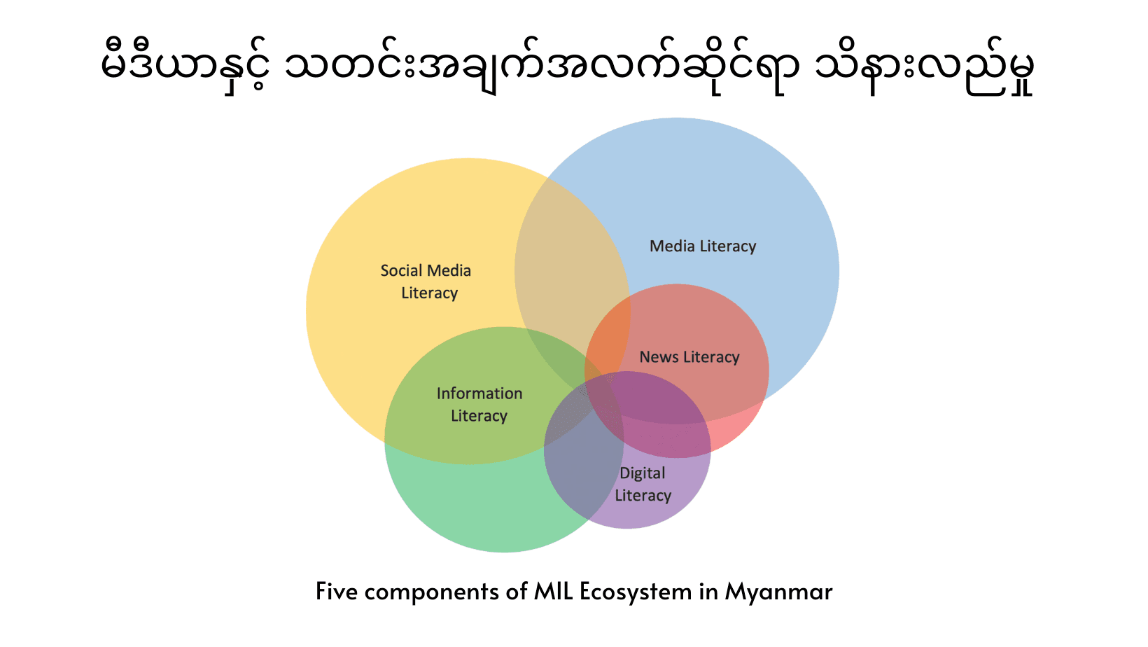 မီဒီယာနှင့် သတင်းအချက်အလက်ဆိုင်ရာ သိနားလည်မှု (ဒစ်ဂျစ်တယ်ဆိုင်ရာ သိနားလည်မှု အထူးပြု)