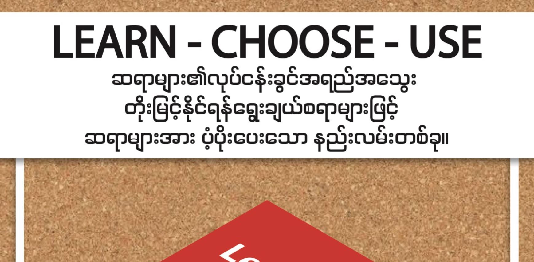Learn Choose Use (Myanmar Language)