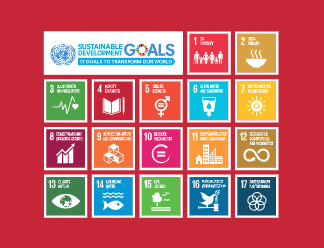 Incheon Declaration and Framework for Action for the implementation of Sustainable Development Goal 4: Ensure inclusive and equitable quality education and promote lifelong learning opportunities for all