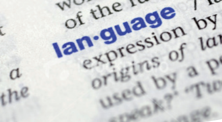 Language and education: the missing link